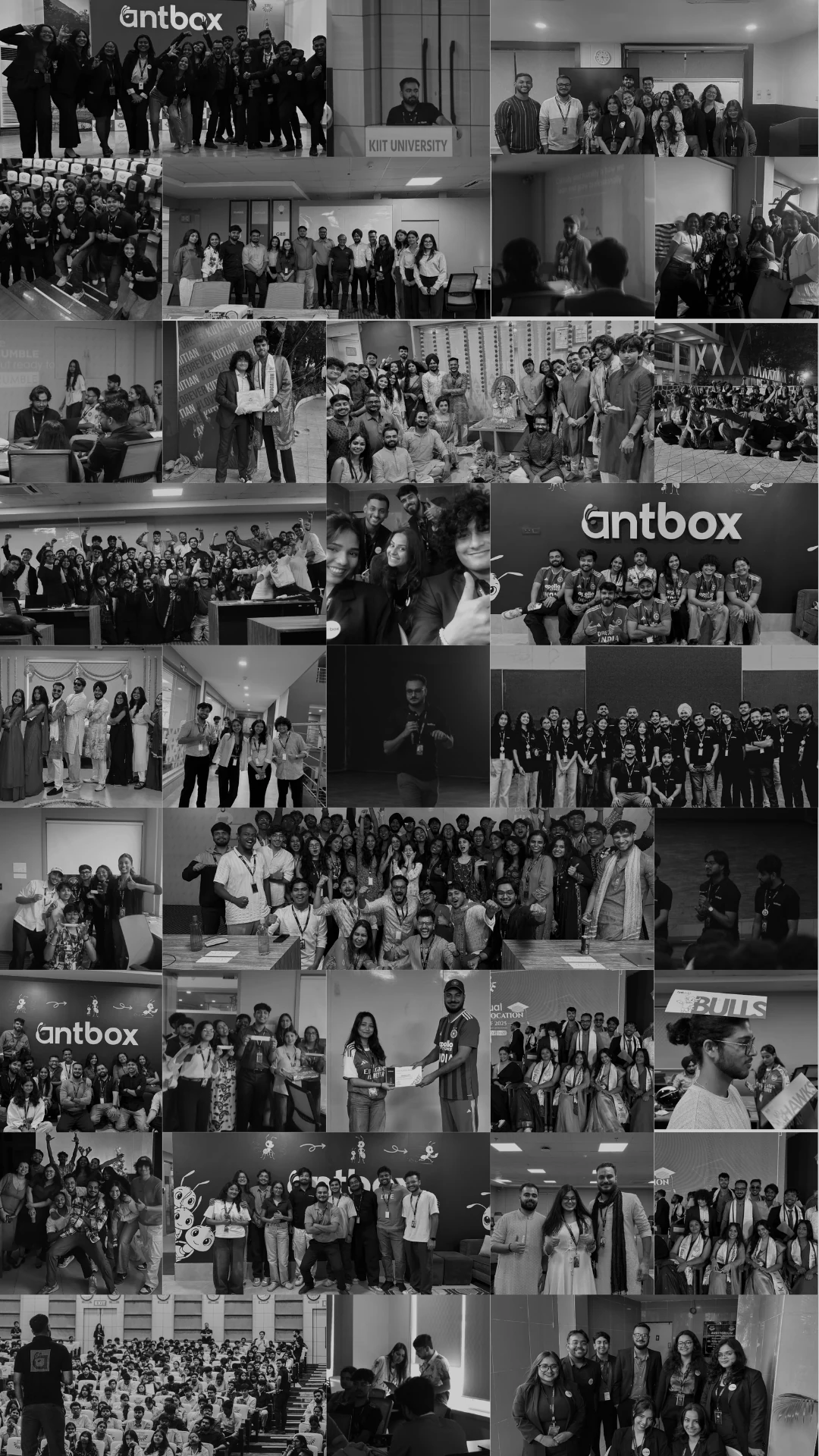 Two years of the AntBox colony